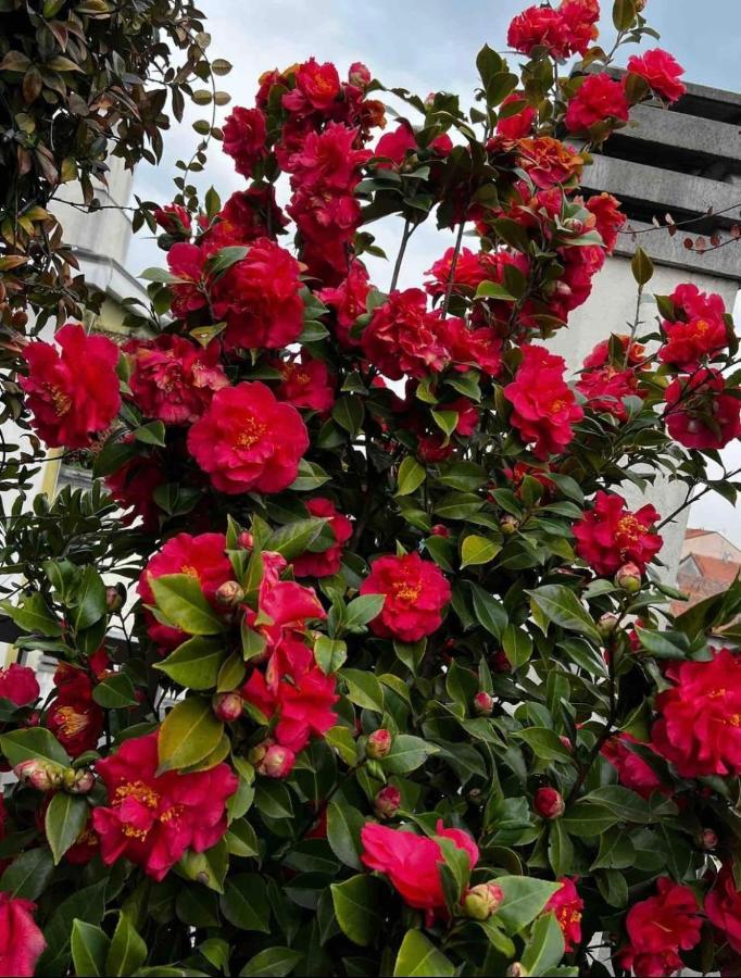 Giresio 41 - Your Penthouse With Rooftop Garden In Milano Navigli - Wifi Екстериор снимка